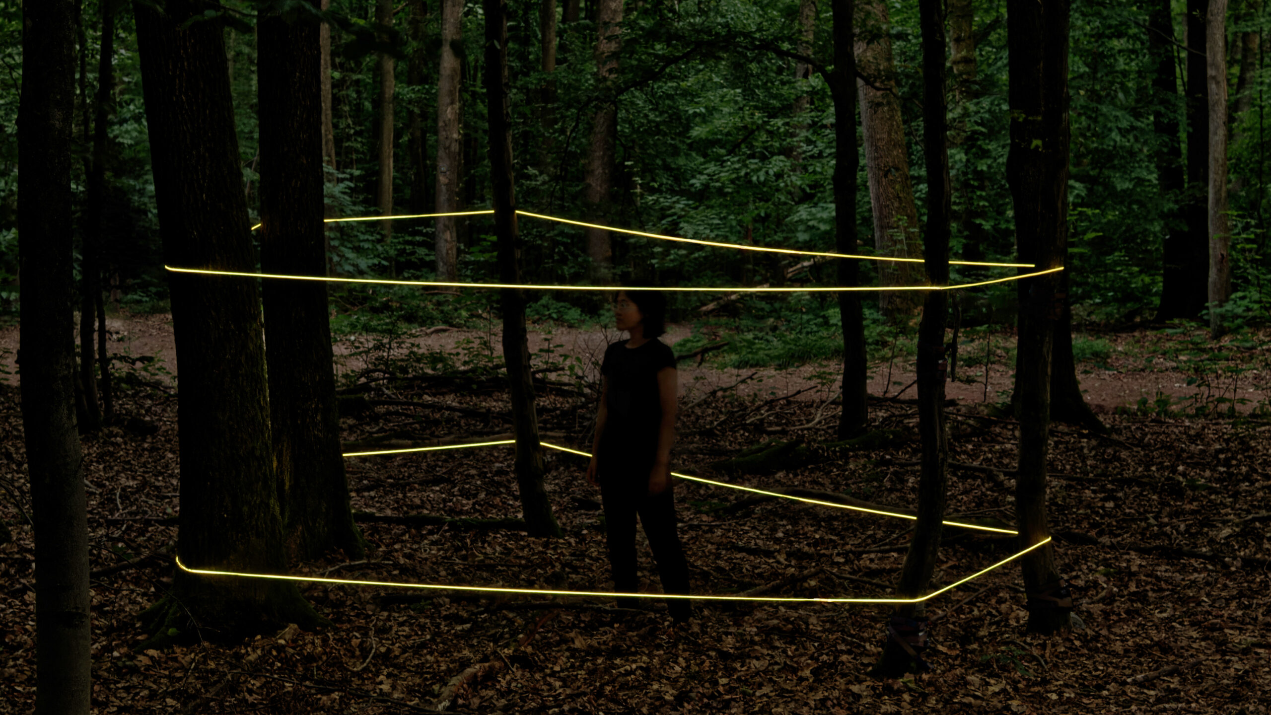 Mein Raum, 2022, Elektrischen Leuchtschnur, Variable Größe, in Urwald Riegelsberg, Foto: Daniel Hausig